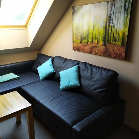 Апартаменты Podkrovni Apartman V Prirode, Vhodny K Relaxaci I Na Sluzebni Cesty Cerna u Bohdance Экстерьер фото