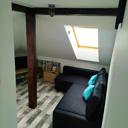 Апартаменты Podkrovni Apartman V Prirode, Vhodny K Relaxaci I Na Sluzebni Cesty Cerna u Bohdance Экстерьер фото