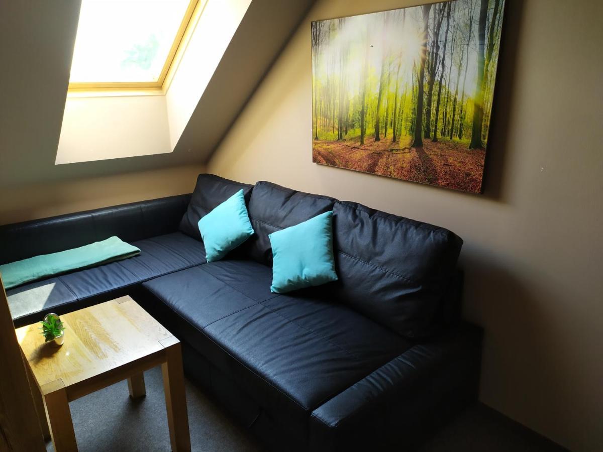 Апартаменты Podkrovni Apartman V Prirode, Vhodny K Relaxaci I Na Sluzebni Cesty Cerna u Bohdance Экстерьер фото