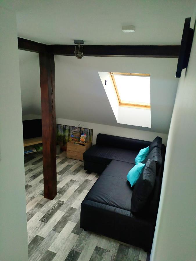 Апартаменты Podkrovni Apartman V Prirode, Vhodny K Relaxaci I Na Sluzebni Cesty Cerna u Bohdance Экстерьер фото