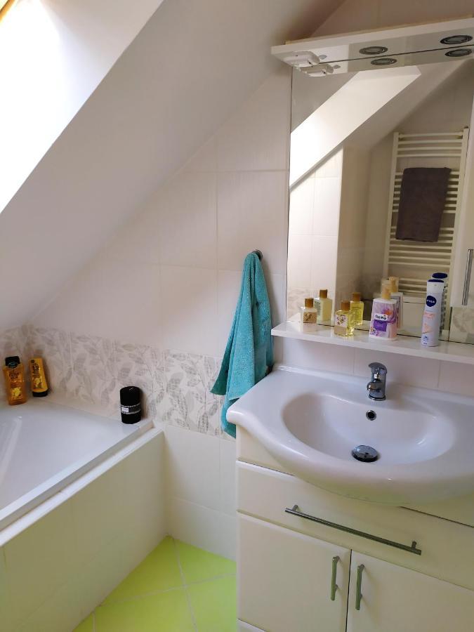 Апартаменты Podkrovni Apartman V Prirode, Vhodny K Relaxaci I Na Sluzebni Cesty Cerna u Bohdance Экстерьер фото